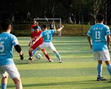 板球夜战:塞外灰熊队翻盘漓江貔貅队,临门一脚致胜韧性比赛的样板的简单介绍 板球夜战:塞外灰熊队翻盘漓江貔貅队,临门一脚致胜韧性比赛的样板的简单介绍